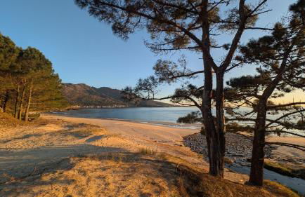 Casa Carmen e do Hilario - Foto 4