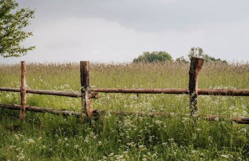 Dziki Las - domki na drzewach - Foto 48