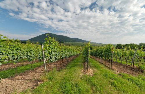 Das Alte Pfarrhaus - Suite - Foto 34