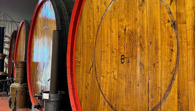 Bologna: Parmesan, Wine, Vinegar With Transfer And Lunch - Photo 4