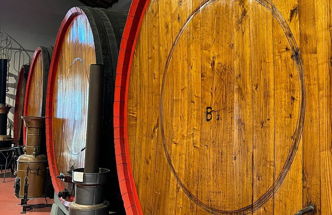 Bologna: Parmesan, Wine, Vinegar With Transfer And Lunch - Photo 4