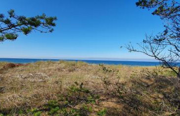 Domki Miłe Chwile - Foto 40