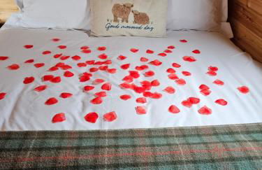 Camhanaich 'Half light of dawn' - Foto 8