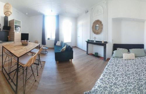 -Garrigue- Face à la Cité médiévale studio terrasse classé 4☆ - Foto 12