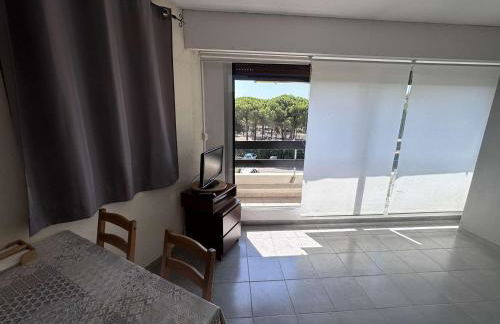 Studio climatisé près de la plage avec piscine et parking, Port Camargue - FR-1-731-101 - Foto 9