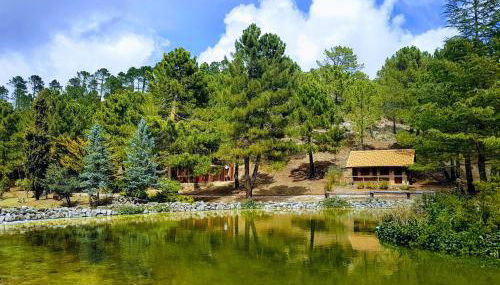 La cabaña del lago en ZAFIRO LAGUNAZO Parque Natural del Río Mundo - Foto 3, Garden view