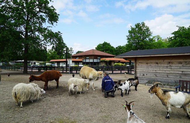 Modern Villa 30km From Maastricht - Foto 17