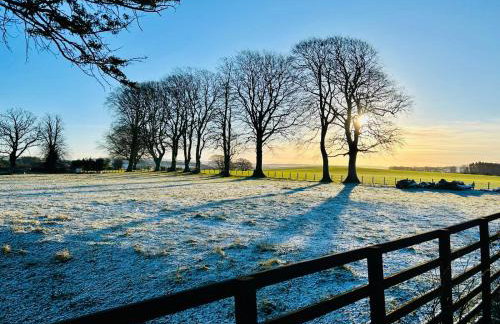 Wild Meadow Cottage - Countryside Views and King Bed - Foto 24