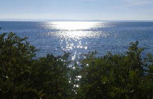 House Garli Premium Hospitality - Photo 75