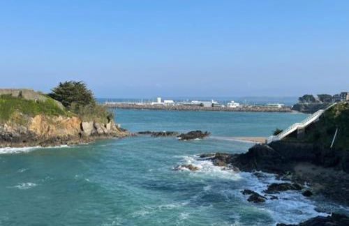 Appt T2 vue imprenable sur Mer - Foto 28