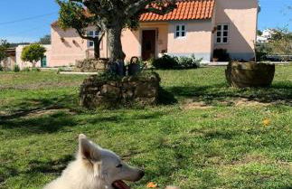 Linhal das Meias - São José das Matas - Foto 2