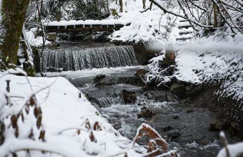 Tiny House Nature 12 - Green Tiny Village Harz - Foto 31