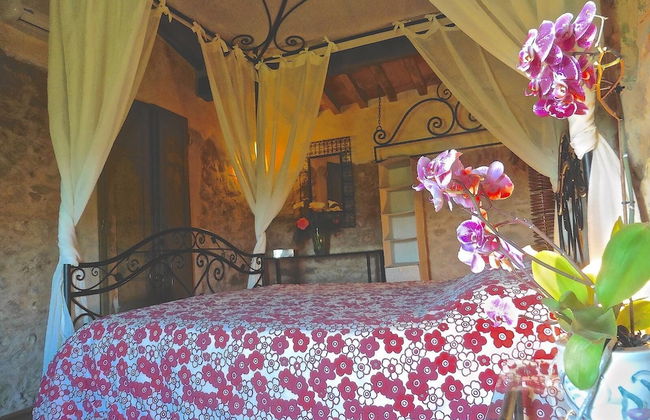 Agriturismo I Pitti - Foto 9