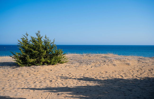 Villa Persephone in Corfu - Foto 25