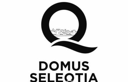 Domus Seleqtia Plaza de Santiago - Foto 12