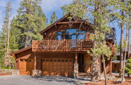 Gray Bear 514 - Foto 26