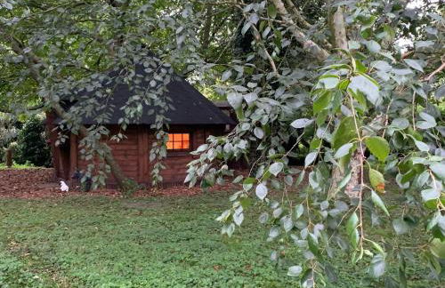 Starry Meadow & Rescued Animal Experiences - Foto 44