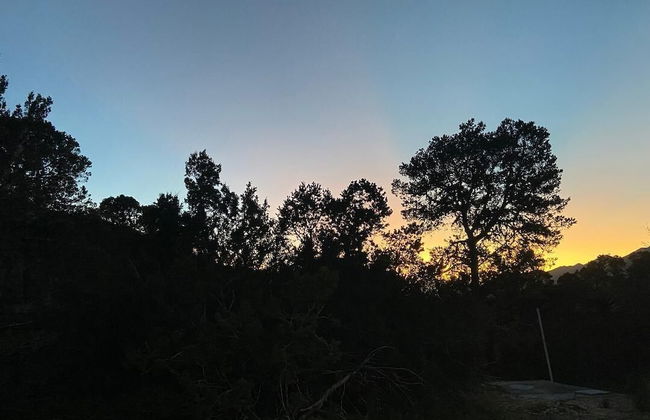 Las Estrellas Cabañas en el Bosque - Foto 34