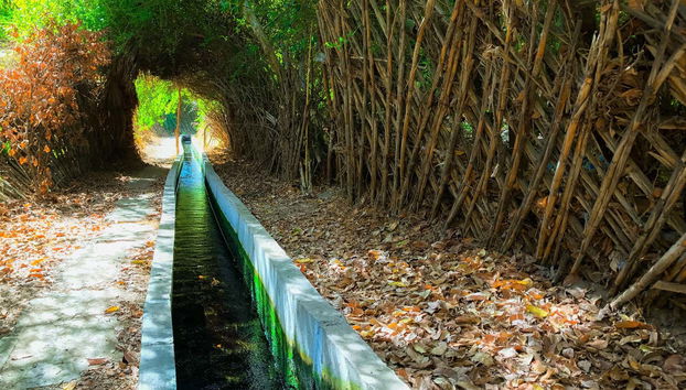 I canali dell'oasi di Pica