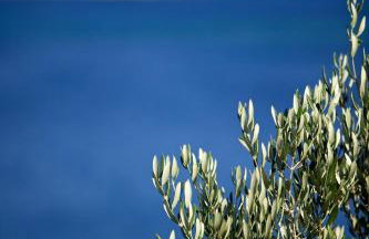 Villa Tempera - Photo 16