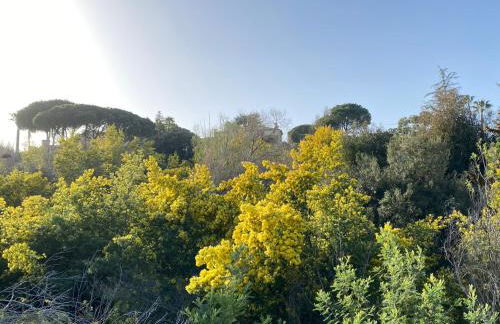 Villa Daurus - Foto 59
