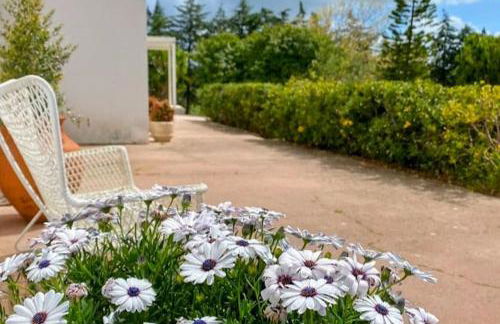 Quinta Vale da Paz - Foto 38