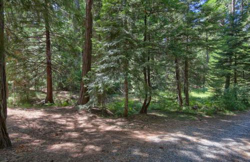 3 Springs Hideout - Family cabin with hot tub in Yosemite - Foto 52