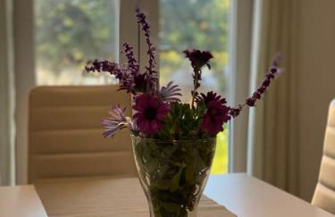 Casa vacanze Almàsalo - Foto 43