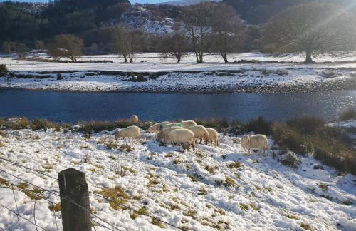 Ty Capel Isa - Foto 30