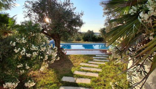 Casa De Terena - Foto 3