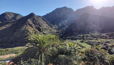 Apartamentos Correhuela - Foto 4, Garden view