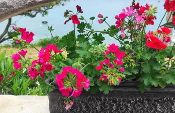 Romantic Apartment Sonja, Beachfront - Foto 63