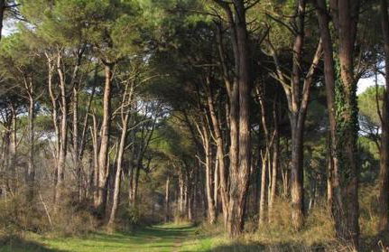 A casa di Rachele - Photo 25