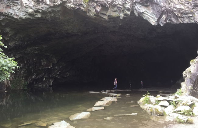 Hapimag Burnside Park Apartments - Foto 70