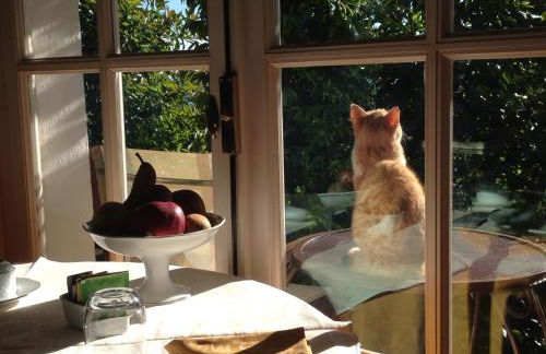 Villa Bricco dei Cogni - Photo 80