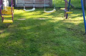 Ferme de la Ruette - Foto 7