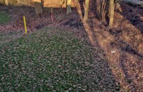 Modern Apartments, Wohnung Nr 3, nahe Schalke Arena, Zentral zur Autobahn A42 und A2, Ferienwohnung, Monteurwohnung - Foto 23