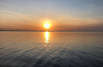 Reethus Linda - Foto 28