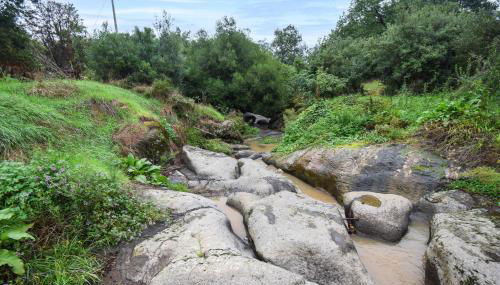 3 Bedroom Cozy Home In Vignanello - Foto 5