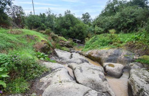 3 Bedroom Cozy Home In Vignanello - Foto 5