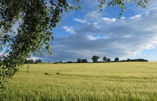 Deepwell Granary is a lovely thatched barn with attached meadow woodland - Foto 25
