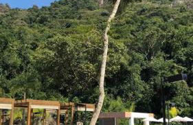 Acolhida Temporada - Foto 36