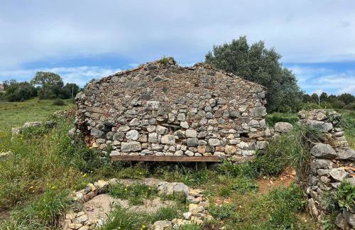Rural old house with Vintage Furniture - Foto 38