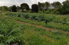 Les Jardins de Castelange - Foto 17