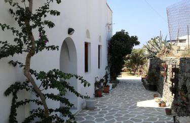 Dina's Diamond - Foto 42