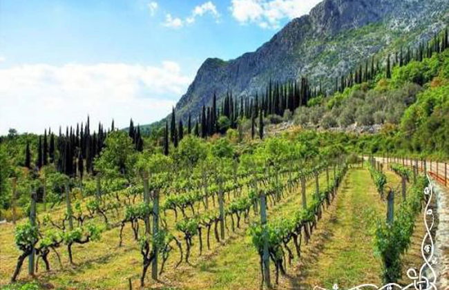 Villa in Gruda With Private Pool - Foto 28