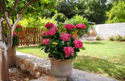 Villa 4 DESTINA - Foto 32