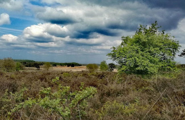 Tidy Bungalow With Garden Located in Natural Area - Foto 18