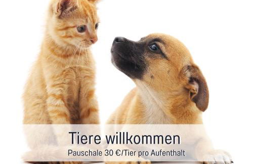 ROSMARIN - Kuschelige Fewo - Romantik & Entspannung im Whirlpool auf privater Terrasse, Ruhe & Hund willkommen - by FerienWohnenAmSee - - Foto 7