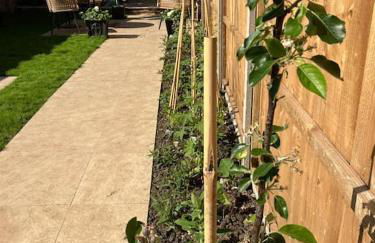 Our beautifully renovated home - Foto 18